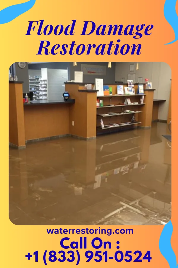 Flood Damage Restoration in St. Mary, MO