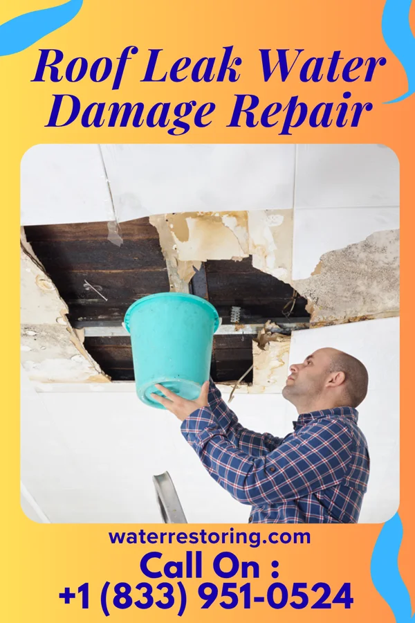 Roof Leak Water Damage Repair in St. Mary, MO