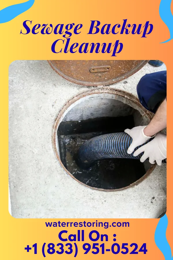 Sewage Backup Cleanup in St. Mary, MO